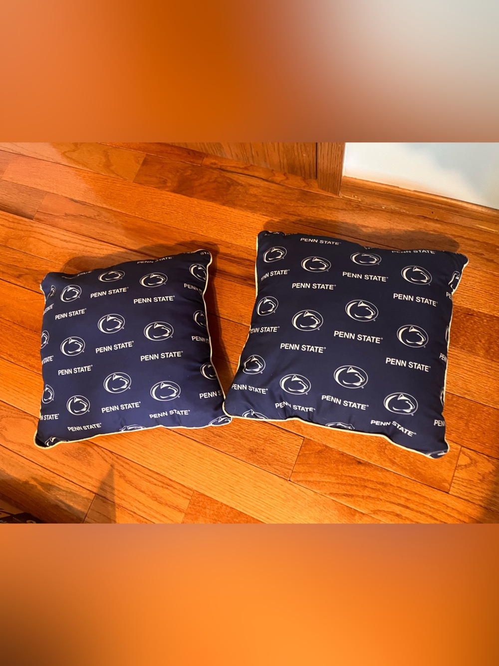 Set of 2 - 13” Square Penn State University Pillows - Great Condition!